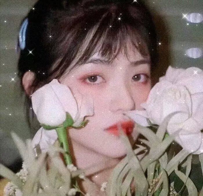 家不成家—我生于巴勒斯坦